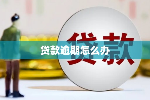 平溪贷款逾期怎么办