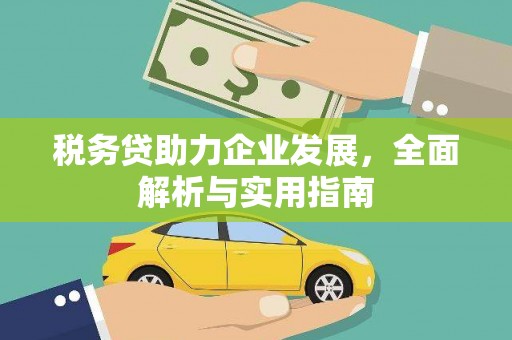 平溪税务贷助力企业发展，全面解析与实用指南