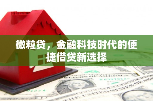 平溪微粒贷，金融科技时代的便捷借贷新选择