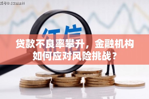 平溪贷款不良率攀升，金融机构如何应对风险挑战？