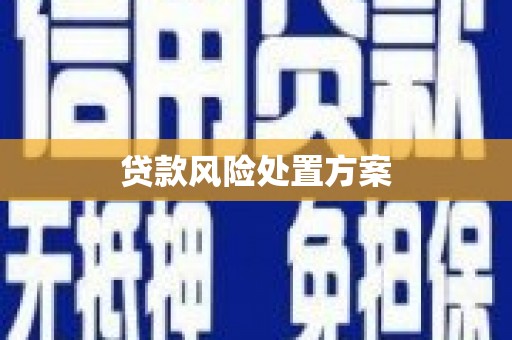 平溪贷款风险处置方案