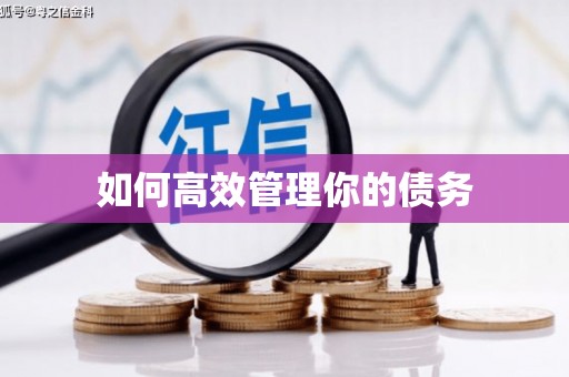 平溪如何高效管理你的债务