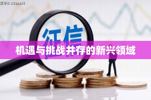 平溪机遇与挑战并存的新兴领域