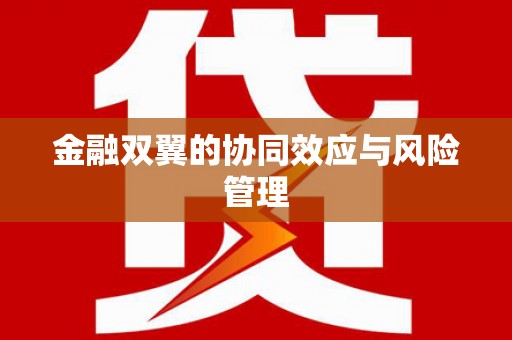 平溪金融双翼的协同效应与风险管理