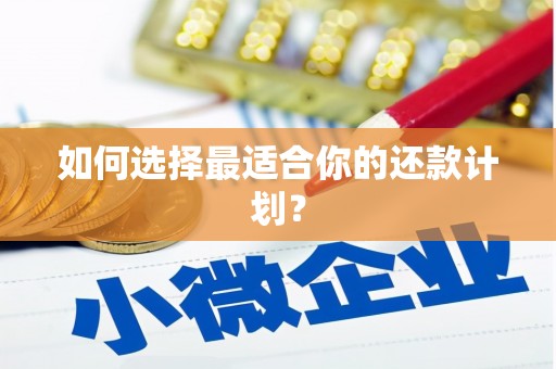 平溪如何选择最适合你的还款计划？