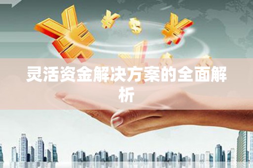 平溪灵活资金解决方案的全面解析