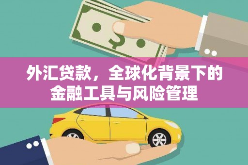 平溪外汇贷款，全球化背景下的金融工具与风险管理