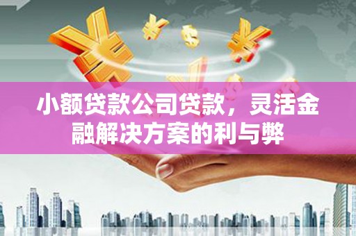 平溪小额贷款公司贷款，灵活金融解决方案的利与弊